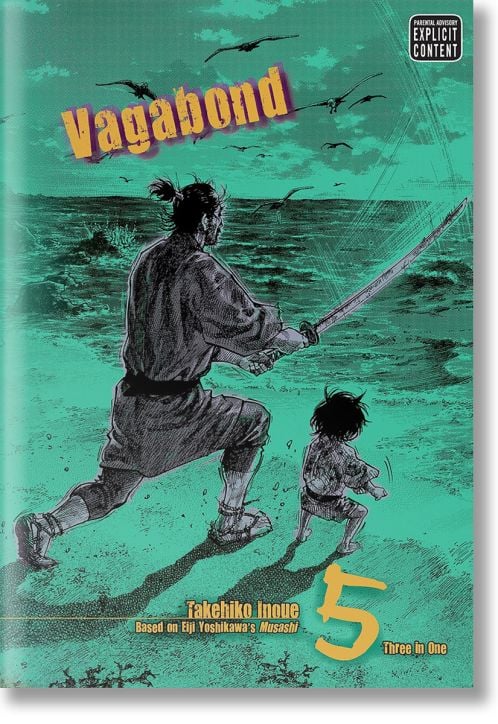 Vagabond, Vol. 5