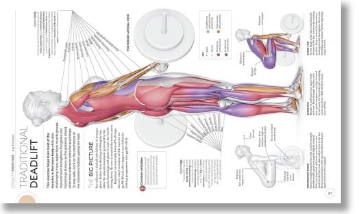 Science of Strength Training