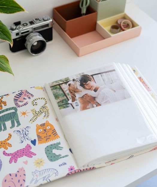 Албум за снимки Cute Cats