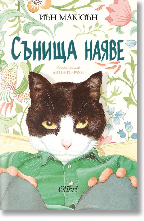 Сънища наяве