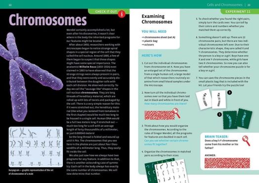 Игра с експерименти Thames & Kosmos: Генетика и ДНК