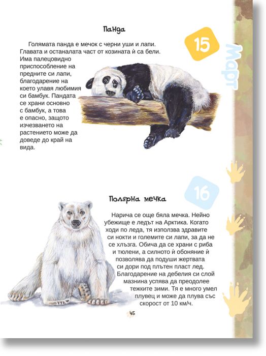 Опознай 365 животни за 365 дни