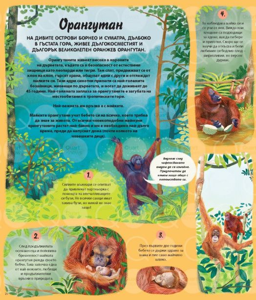 Вечният кръговрат на Майката Природа. 48 истории за жизнени цикли от цял свят