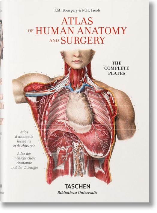 Bourgery. Atlas of Human Anatomy and Surgery