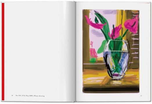 David Hockney: My Window