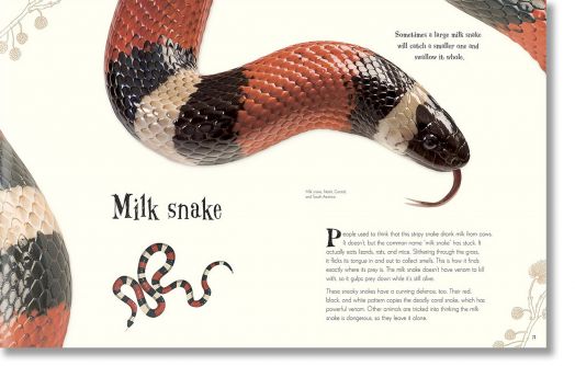 An Anthology of Intriguing Animals