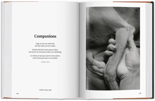 The Dog in Photography 1839-Today