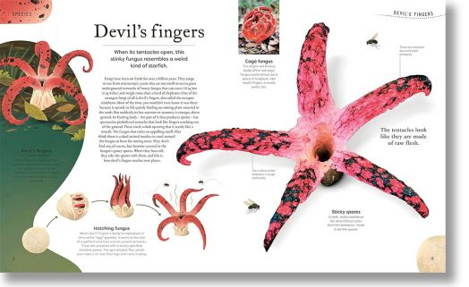 Weird and Wonderful Nature