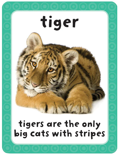 Get Set Go Flashcards: Animals