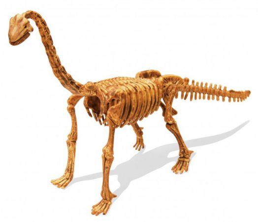 Открий и сглоби скелет на динозавър Buki - Брахиозавър