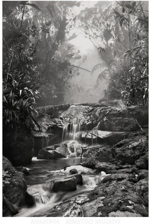 Sebastiаo Salgado. Amazônia. Poster ‘Creek’