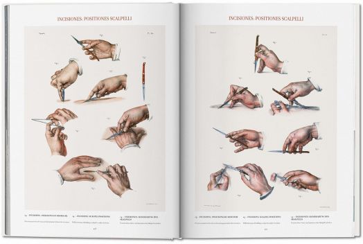 Atlas of Human Anatomy and Surgery