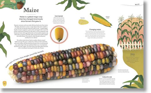 The Secret World of Plants