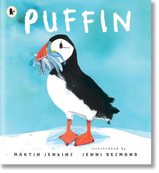 Puffin