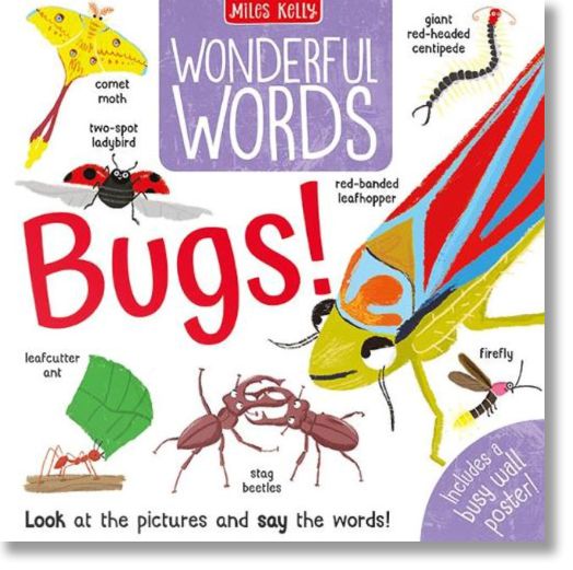 Wonderful Words: Bugs!