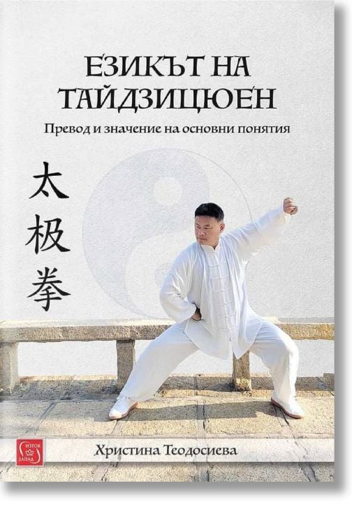 Езикът на тайдзицюен