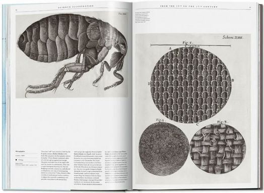 Science Illustration. A History of Visual Knowledge from the 15th Century to Today