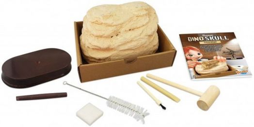 Изследователски комплект Buki - Череп на динозавър Трицератопс