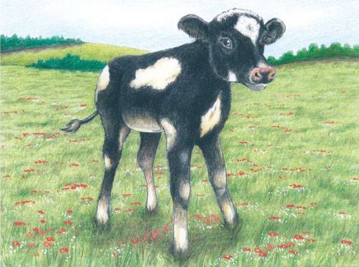 Дървени кубчета Goki - Животни от фермата