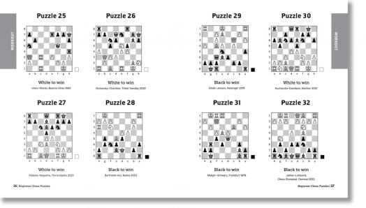 Beginner Chess Puzzles