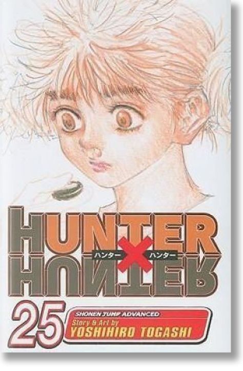 Hunter x Hunter, Vol. 25