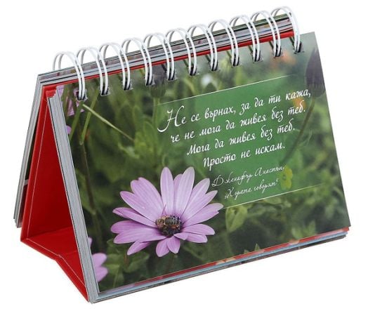 365 дни: Мисли за любов