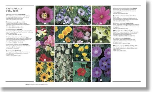 RHS How to Garden New Edition