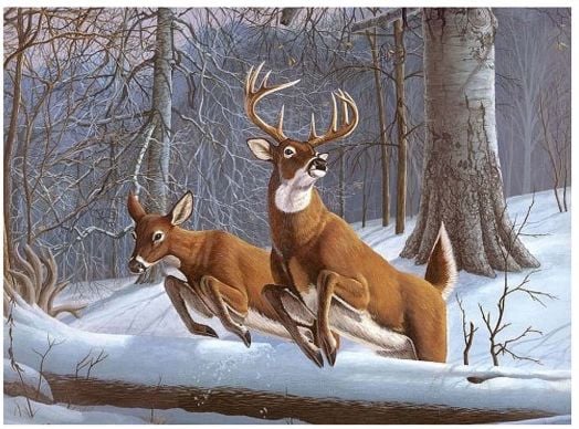 Комплект за лесно рисуване с акрилни бои Royal & Langnickel - Елени, 39 х 30 см.