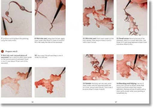 The Colour Mixing Guide: Watercolour Seashore