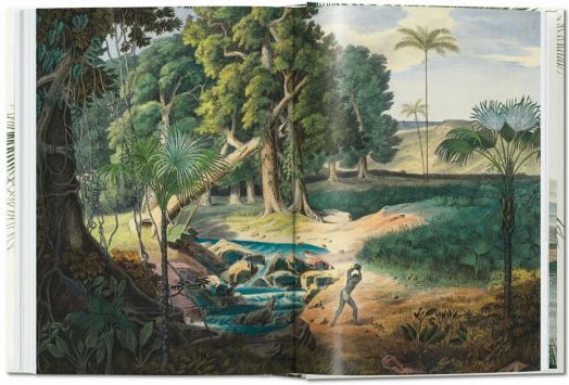 Martius. The Book of Palms. 40th Ed.