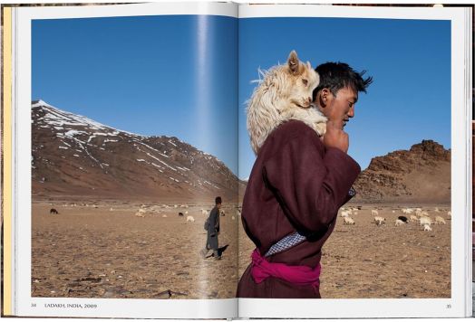 Steve McCurry: Animals