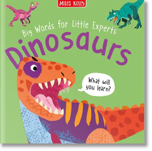 Big Words for Little Experts: 4-pack