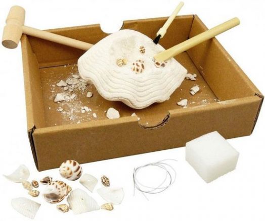 Изследователски комплект Buki Nature: Морски черупки и раковини