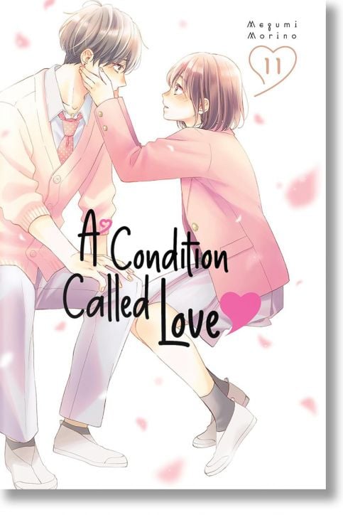 A Condition of Love, Vol. 11