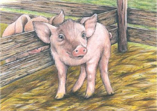 Дървени кубчета Goki - Животни от фермата