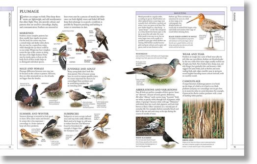 Complete Birds of Britain and Europe