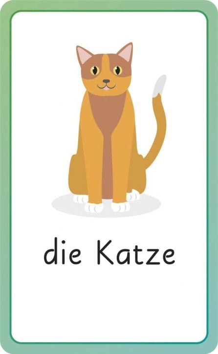 German for Everyone Junior First Words Flash Cards