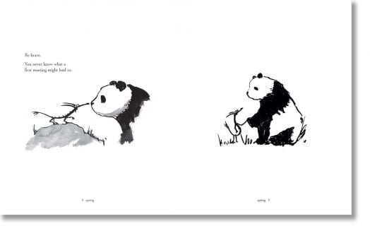 Big Panda and Tiny Dragon