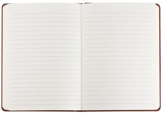 Тефтер Victoria's Journals Old Book