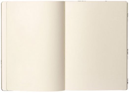 Тефтер Caran D'Ache - Скицник, Rylsee A5