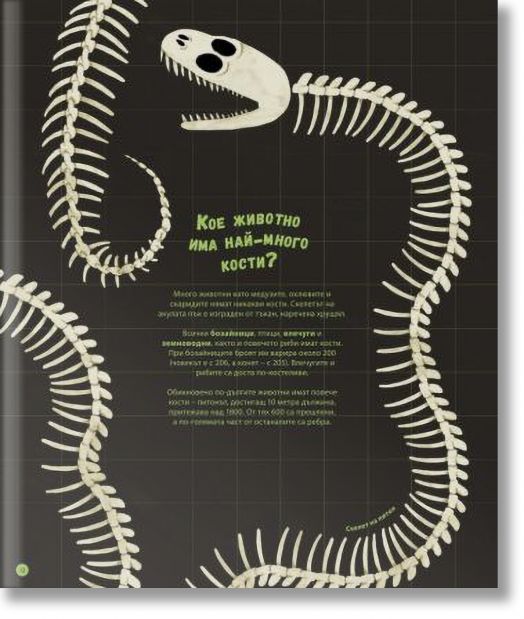 Най-забавните и чудати въпроси: Само за любопитковци