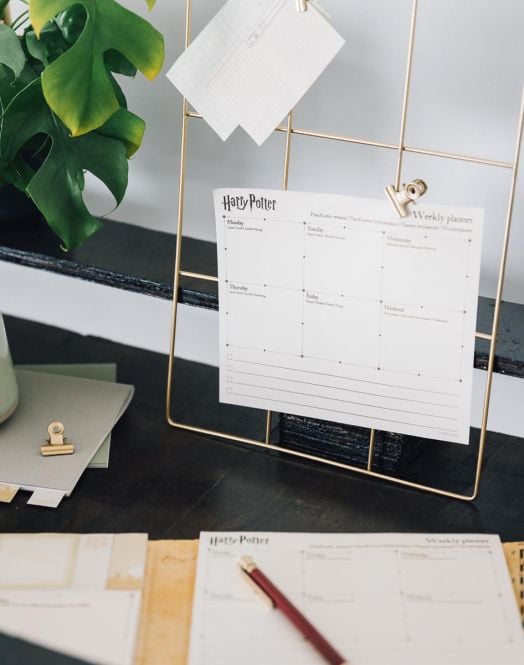 Седмичен планер Grupo Erik Harry Potter