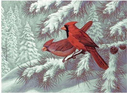 Комплект за лесно рисуване с акрилни бои Royal & Langnickel - Северни кардинали, 39 х 30 см.
