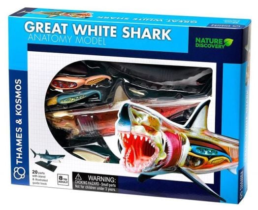 Конструирай модел на голяма бяла акула Thames & Kosmos