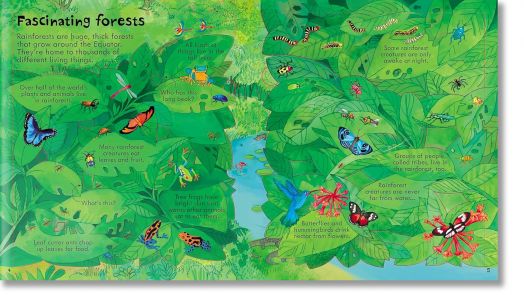 Look Inside Our World