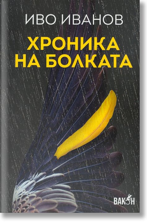 Хроника на болката