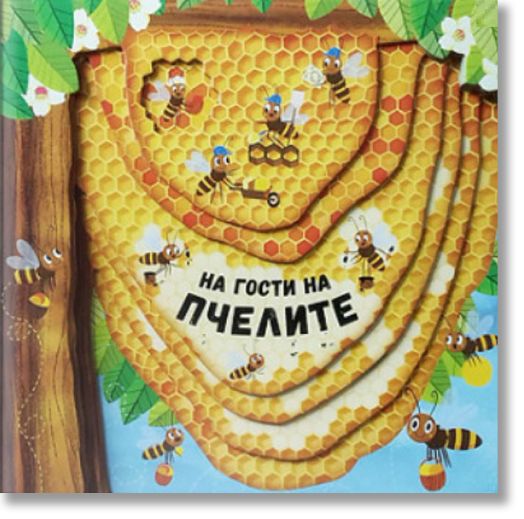 На гости на пчелите