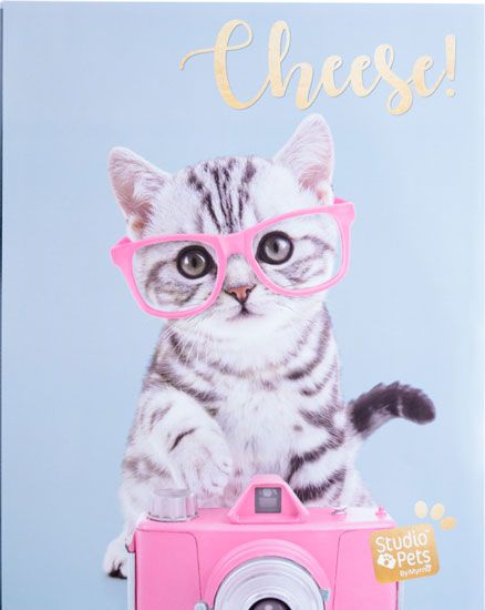 Албум за снимки Котка с фотоапарат