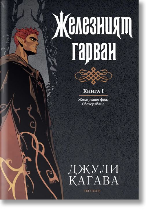 Железните Феи, книга 8: Железният гарван