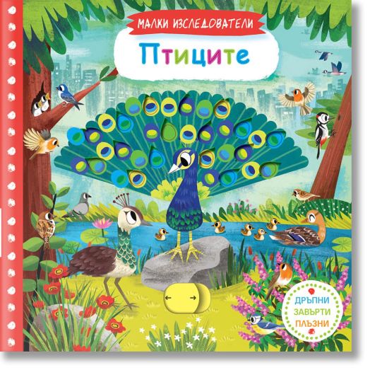 Малки изследователи: Птиците